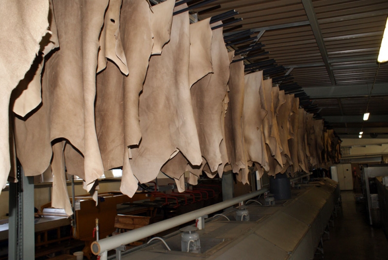 Rajskór Tannery - Photos